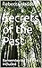 Secrets of the Past by Rebecca Haddock