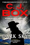 Dark Sky (Joe Pickett, #21)