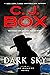 Dark Sky (Joe Pickett, #21)