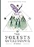 The Forests of California by Obi Kaufmann The Forests of California by Obi Kaufmann