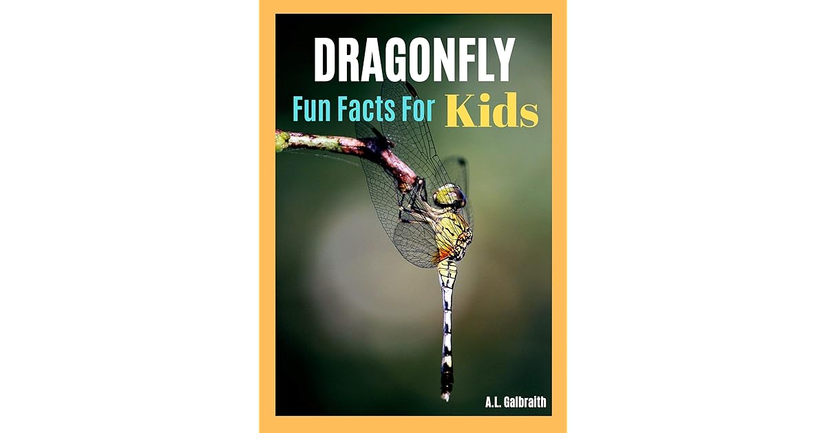 Dragonfly Fun Facts For Kids : Reading & learning animal photo children