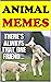 Memes: Super Cute & Funny ANIMAL MEMES Lol These Dank Funny Memes Are The Best Ones Yet