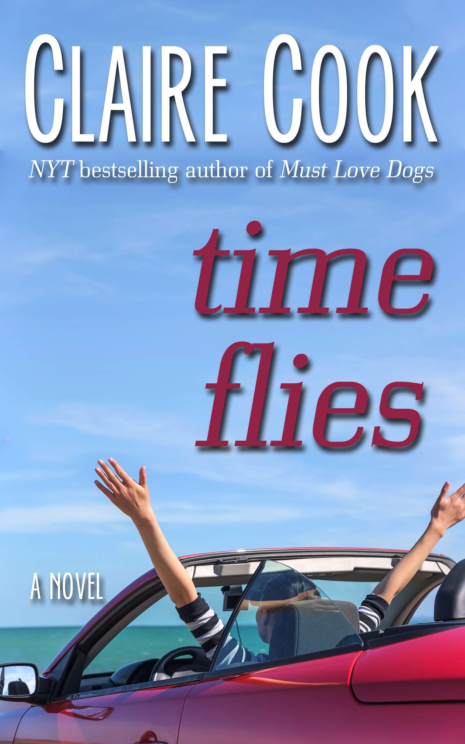 Time Flies (Kindle Edition)