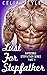 Lust for Stepfather A Stepfather Romance by Celia Styles