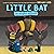 Little Bat in Night School by Brian Lies