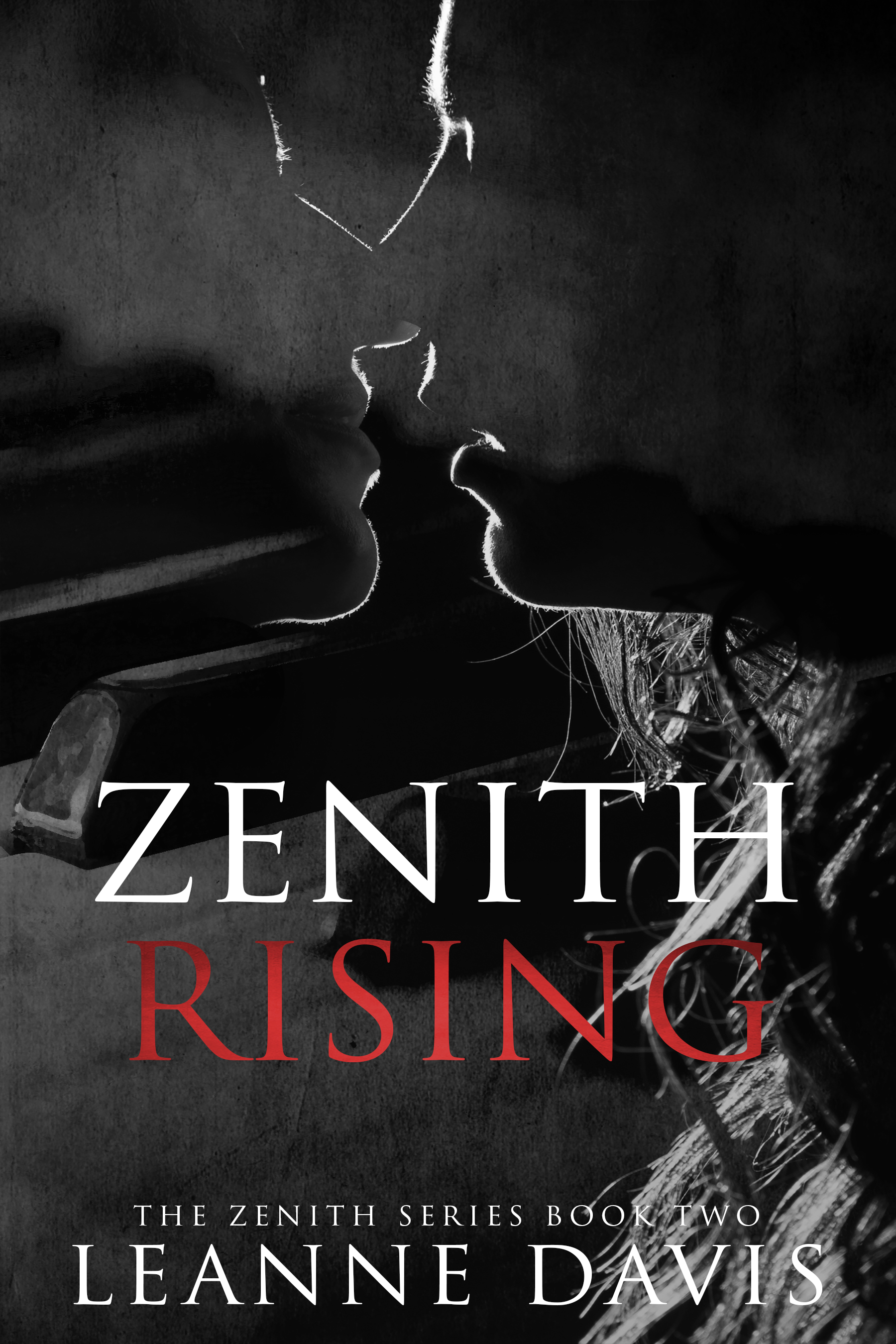Zenith Rising (Zenith Series, #2)