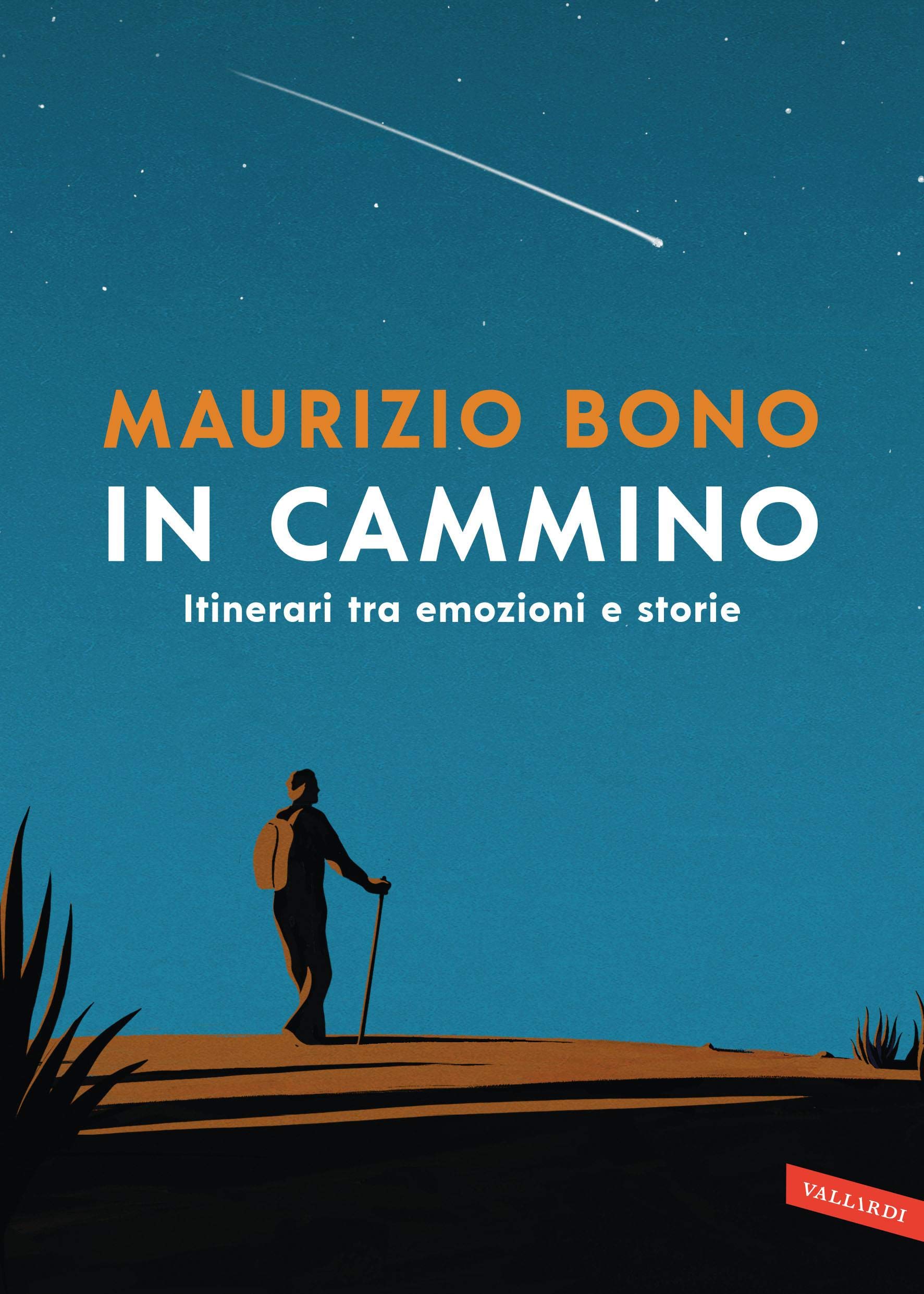 In cammino: Itinerari tra emozioni e storie (Kindle Edition)