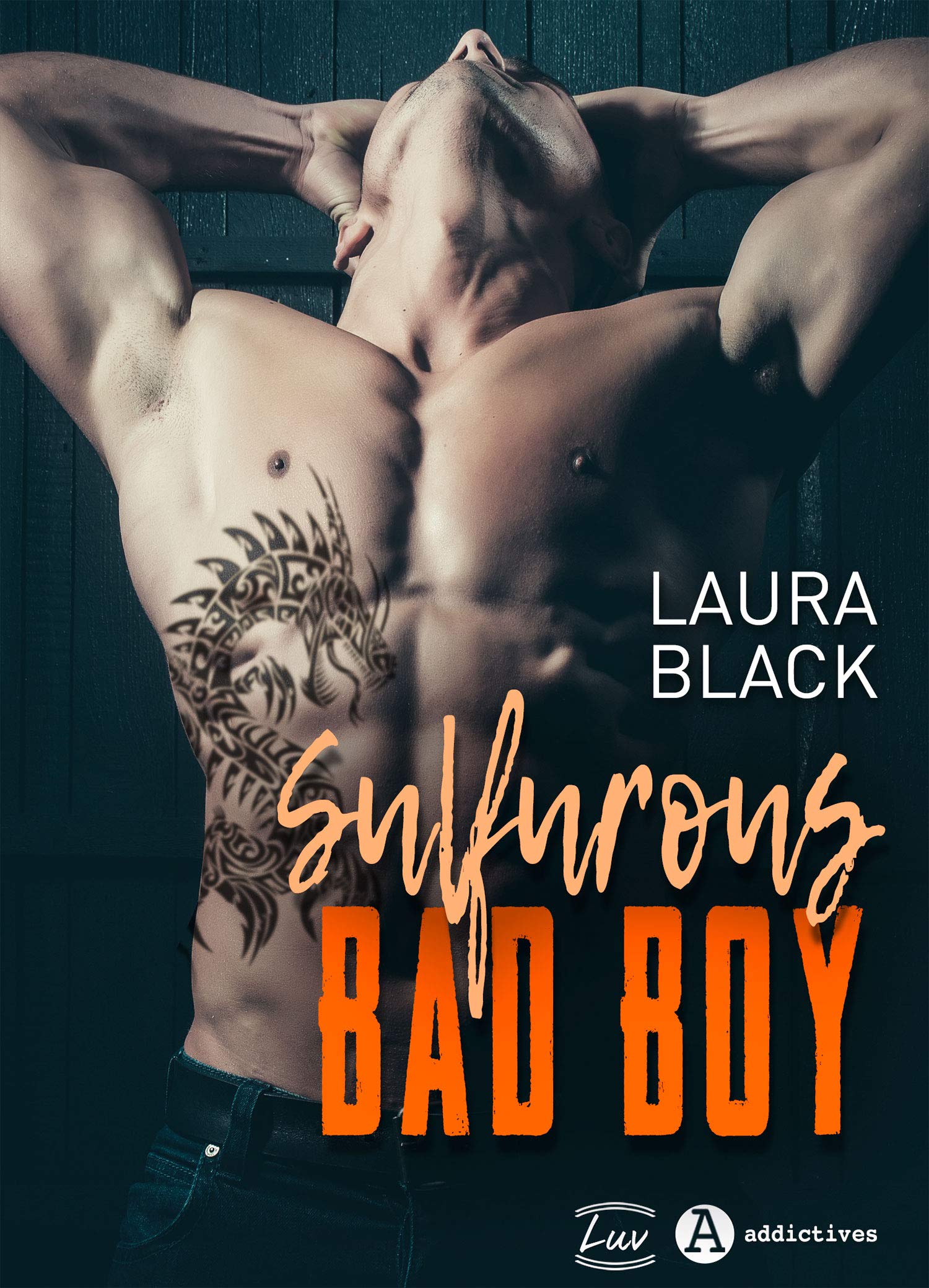 Sulfurous Bad Boy (teaser) (French Edition)