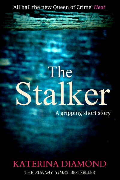 The Stalker (DS Imogen Grey, #2.5)