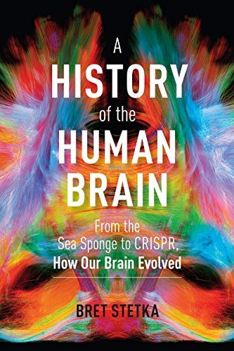 A History of the Human Brain (Kindle Edition)
