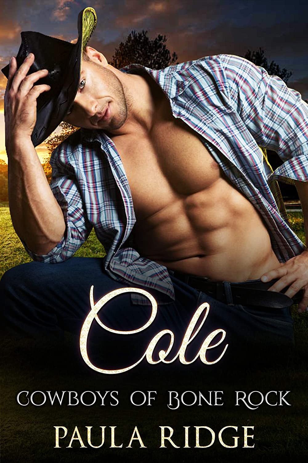 Cole (Cowboys of Bone Rock #5)