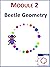 Module 2: Beetle Geometry