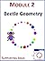 Module 2: Beetle Geometry - Supporting Ideas
