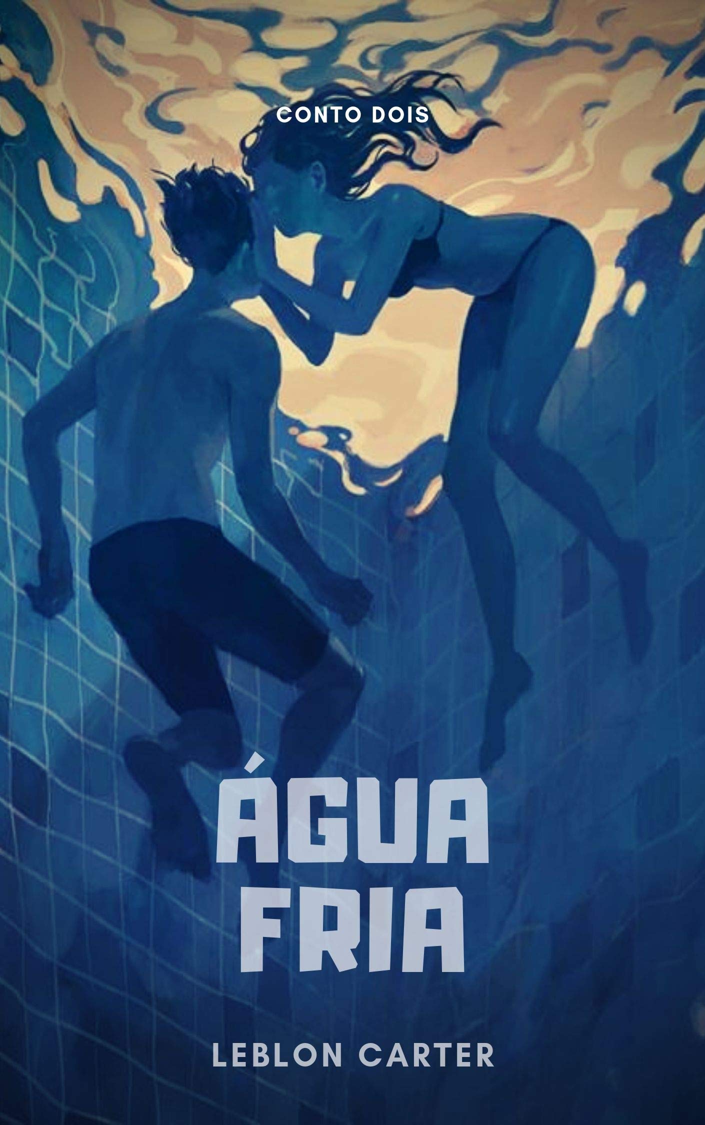 Água fria (Kindle Edition)