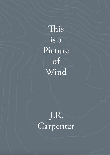 This is a Picture of Wind (Hardcover)