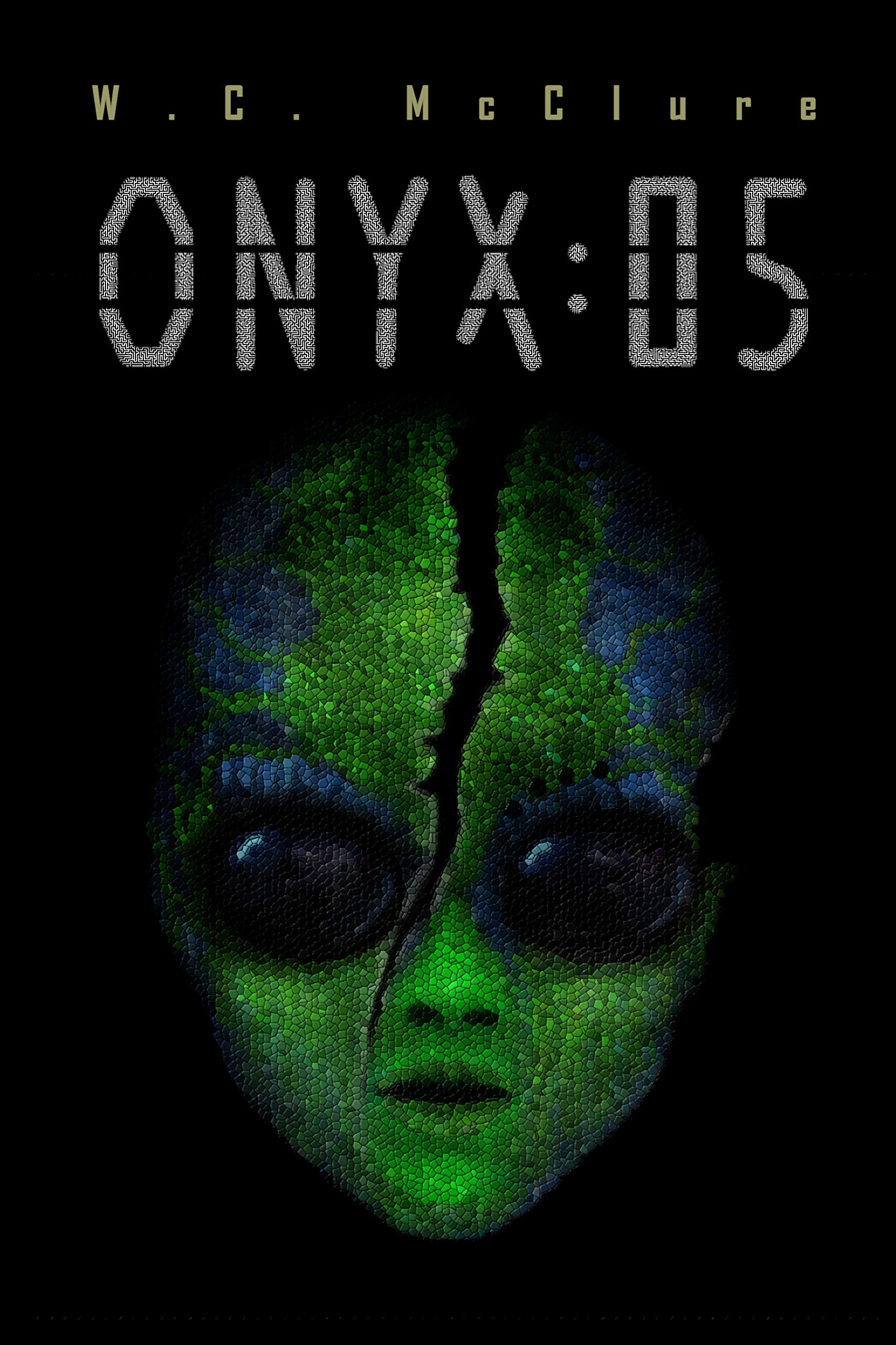 Onyx:05 (Shadow Factor Book 1)