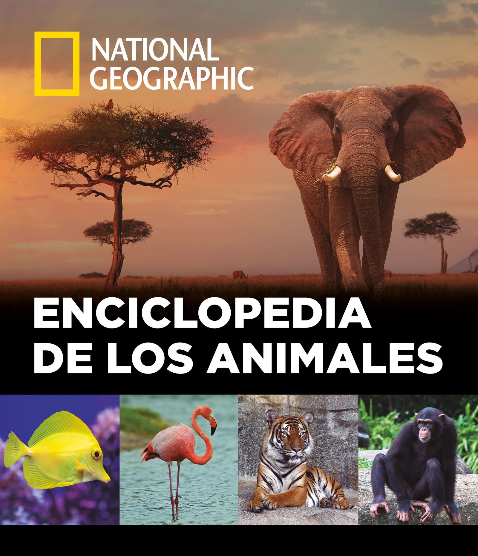 Enciclopedia de los animales (Hardcover)