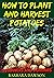 How to Plant and Harvest Po...