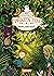 Wilder, wilder Wald! (Die Schule der magischen Tiere #11)