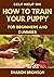 Self Help Guide on How to Train Your Puppy by Sharon Bronson