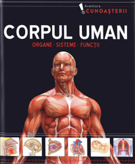 Corpul Uman