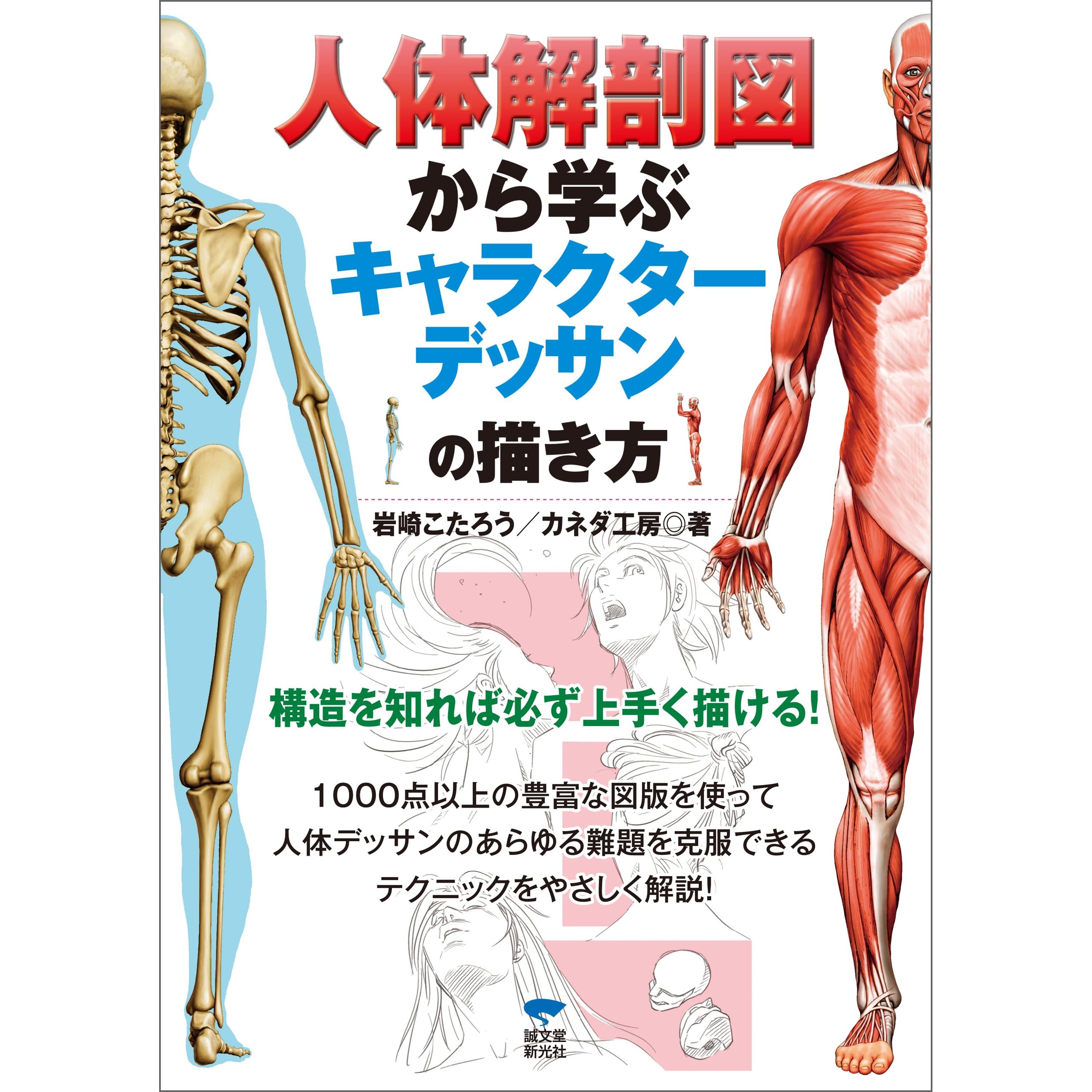 人体解剖図から学ぶキャラクターデッサンの描き方 By 岩崎 こたろう