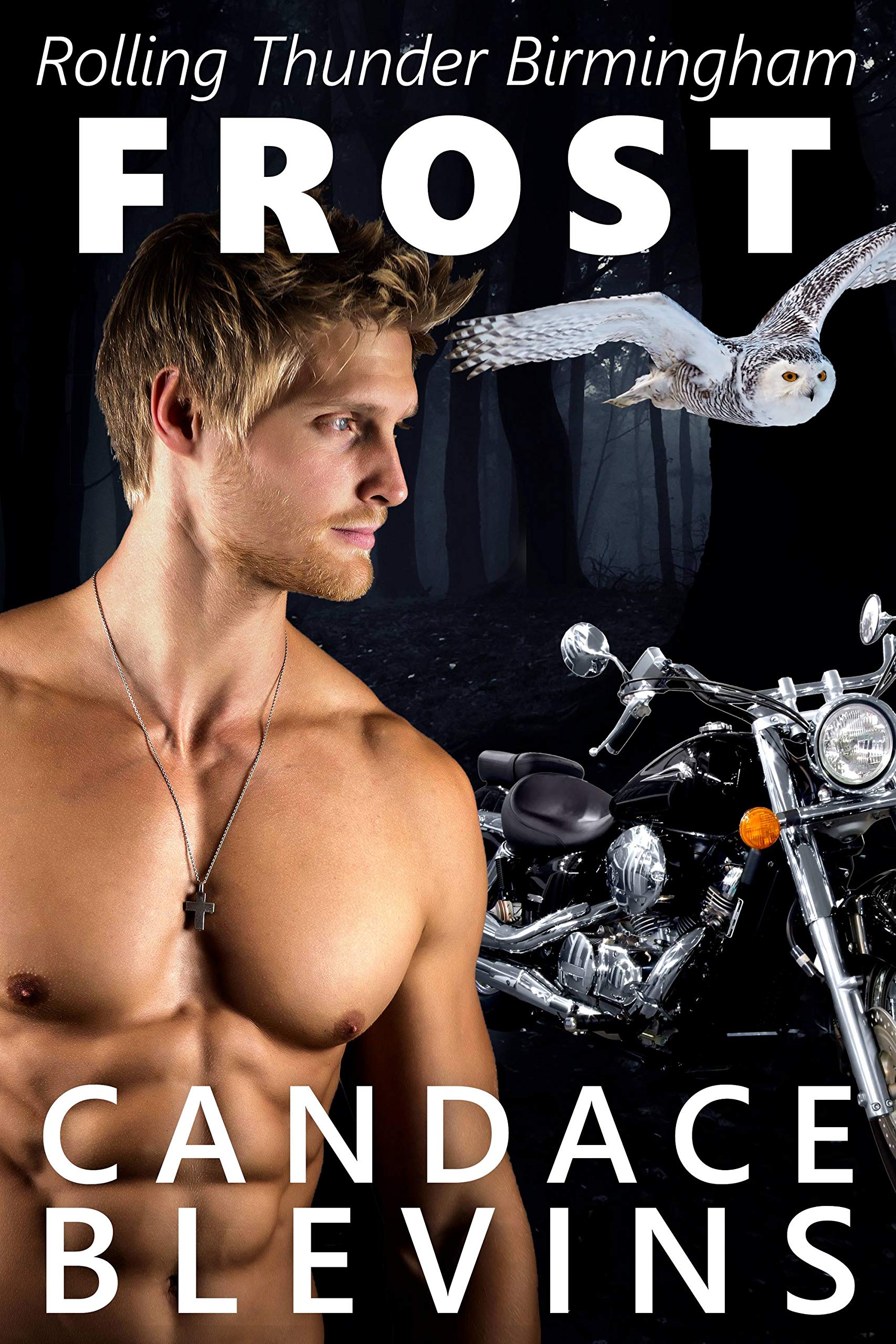 Frost (Rolling Thunder MC Birmingham #3)
