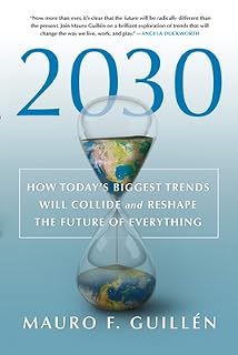 2030 by Mauro F. Guillén