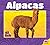 Alpacas (Farm Animals)