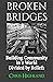 Broken Bridges: Building Co...