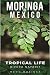 Moringa of Mexico: Tropical...