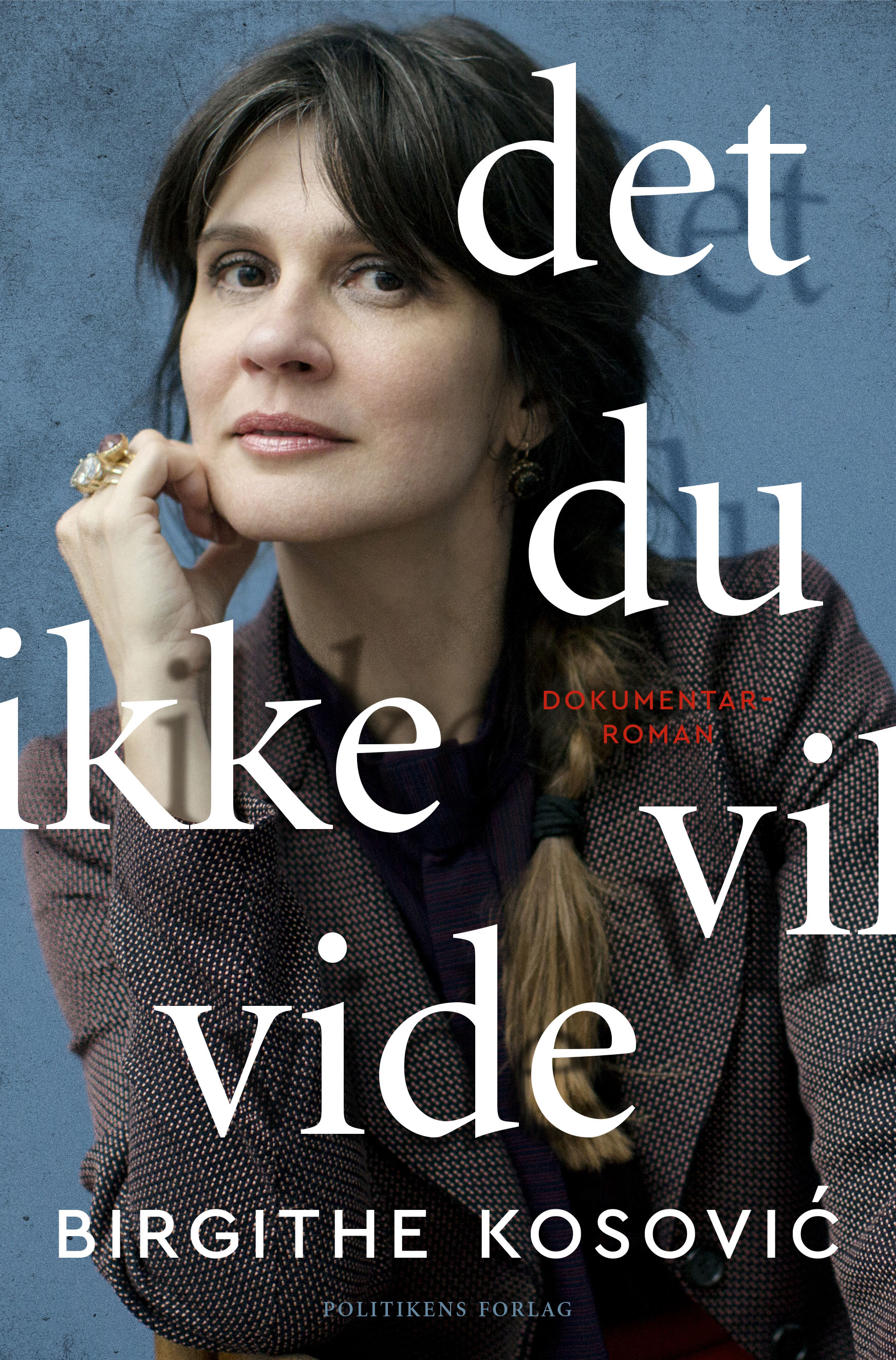 Det, du ikke vil vide (Hardcover)