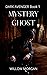 Mystery Ghost (Dark Avenger #1)