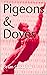 Pigeons & Doves by Brian Goodwin