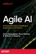 Agile AI