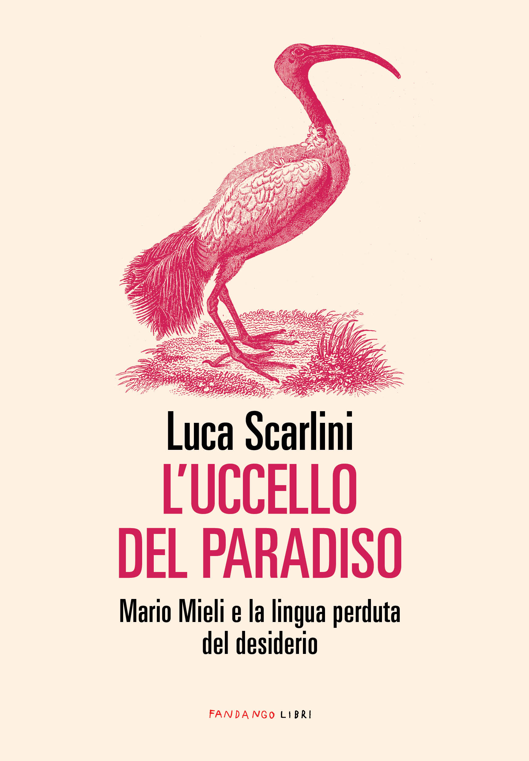 L'uccello del paradiso: Mario Mieli e la lingua perduta del desiderio (Paperback)