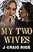 My Two Wives: The Proposition