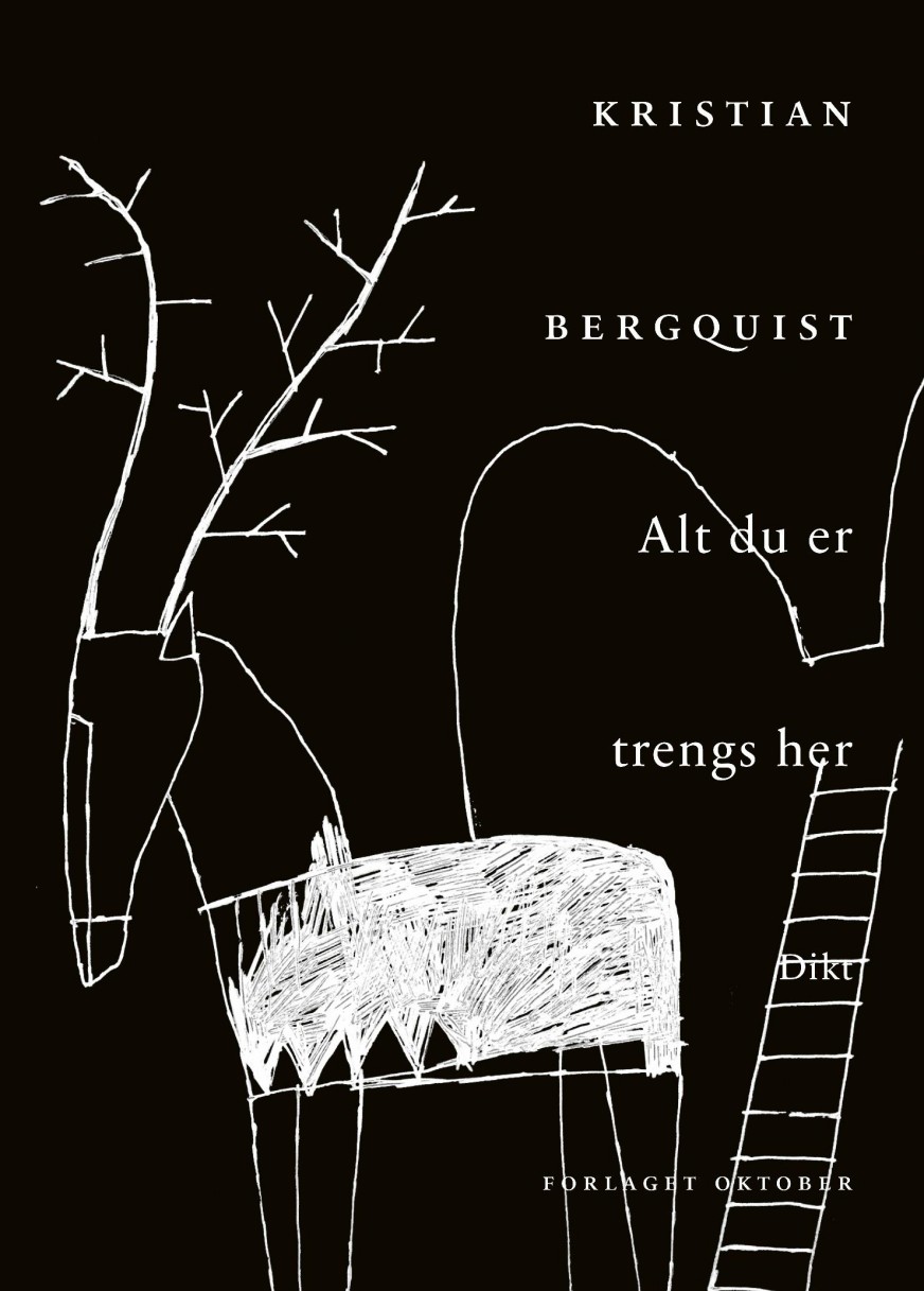 Alt du er trengs her dikt (Paperback)