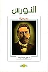 النورس