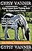 Gypsy Vanner, Gypsy Vanner ...