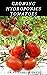GROWING HYDROPONICS TOMATOE...