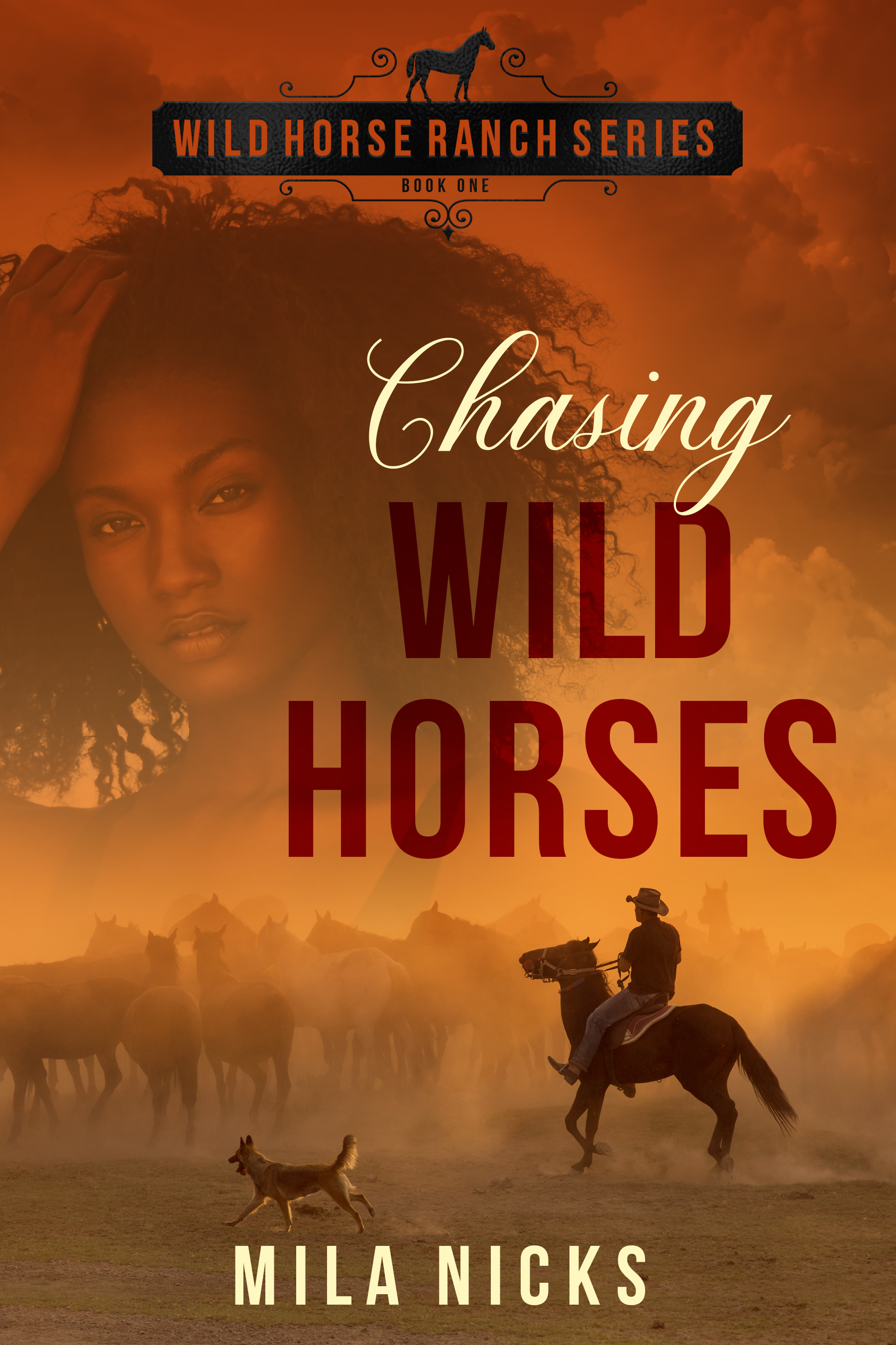 Chasing Wild Horses