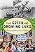 This Green and Growing Land: Environmental Activism in American History (American Ways)