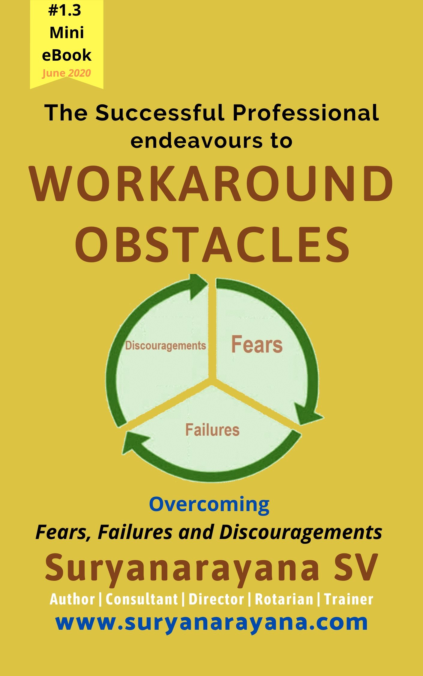 The Successful Professional endeavours to WORKAROUND OBSTACLES: Overcoming Fears, Failures and Discouragements