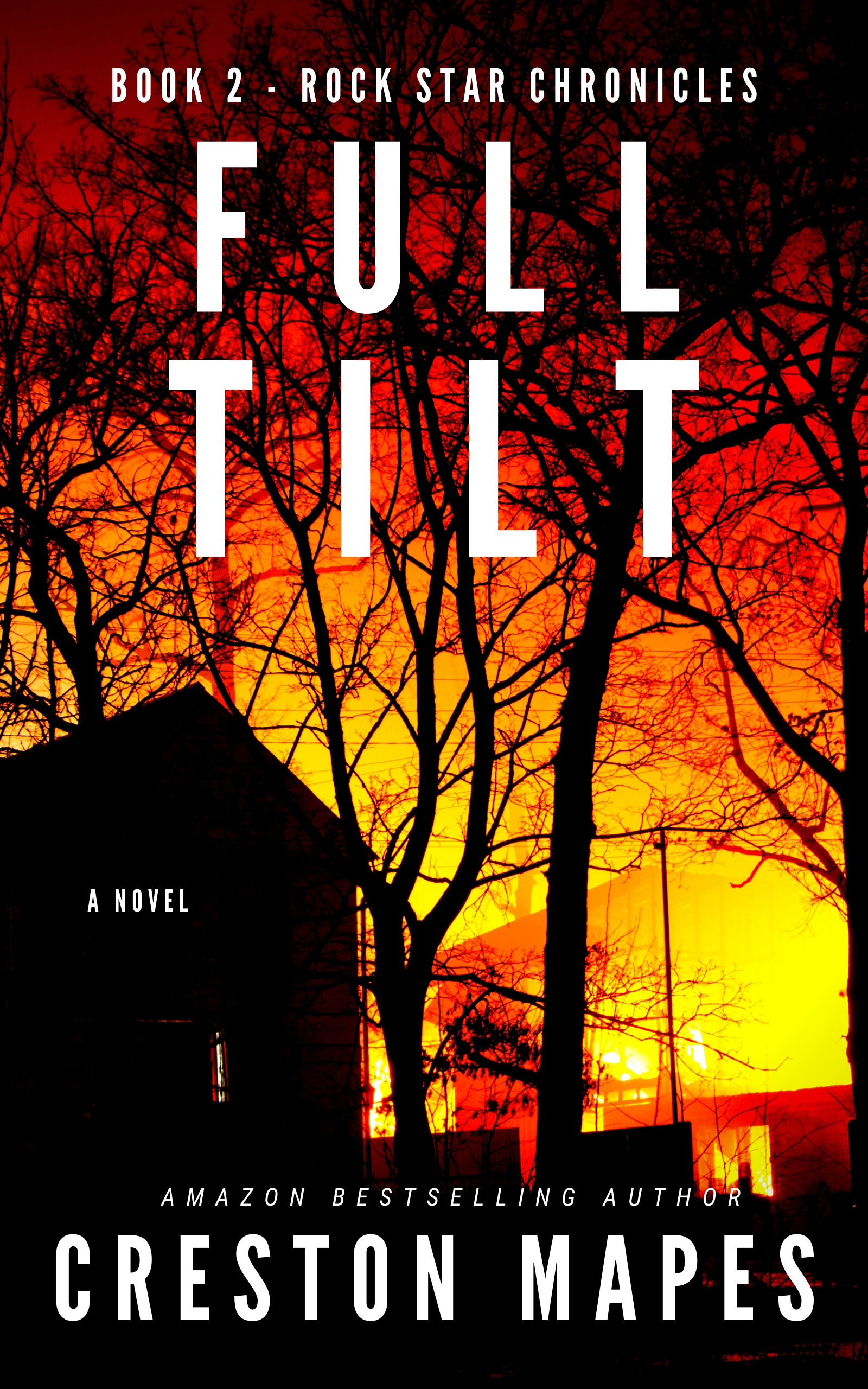 pdf download Full Tilt (Rock Star Chronicles, Book #2)