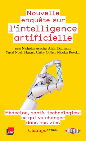 Nouvelle enquête sur l'intelligence artificielle (Paperback)
