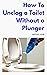 How To Unclog a Toilet With...