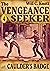 The Vengeance Seeker 4: Cau...