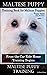 Maltese Puppy Training Book for Maltese Puppies By D!G THIS DOG Training, From the Car Ride Home Training Begins, Maltese Puppy Training