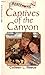 Captives of the Canyon (Frontier Brides, Book 4) (Heartsong Presents #112)